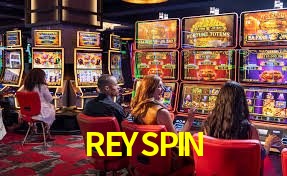 REYSPIN ¿Qué información cubre esta sección de preguntas frecuentes?