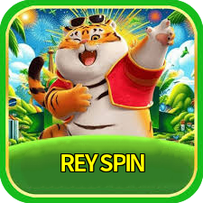 REYSPIN logo